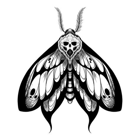 Moth Skull Drawing, Black Moth Drawing, Skeleton Moth Tattoo, Hand Moth Tattoo, Moth Reference Photo, Deaths Head Moth Tattoo, Brenda Tattoo, Moth Skeleton, Moth Tattoo Meaning