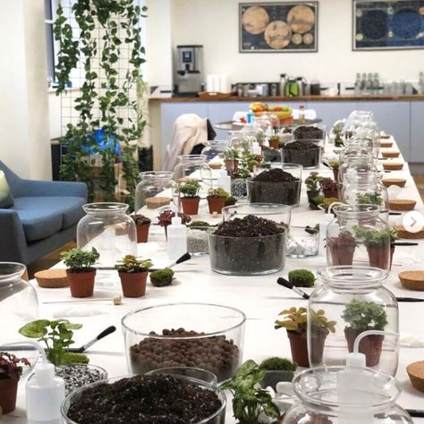 Did you know that according to a study by Forbes, 91% of employees believe that team building activities improve workplace relationships? Boost your team's morale with our Corporate Terrarium Workshop! 🌱 We'll bring all the materials needed right to your location for a hassle-free experience. Book now and let the green therapy begin! 🎋 . . . #CorporateWorkshop #TeamBuildingLondon #TeamBuilding #TerrariumWorkshop #DIYTerrarium #TerrariumCreation #WorkshopLondon #Terrarium #TerrariumLove #Close... Terrarium Workshop Ideas, Workplace Relationships, Green Therapy, Terrarium Workshop, Open Terrariums, Team Morale, Designer House, Building Activities, Terrarium Diy