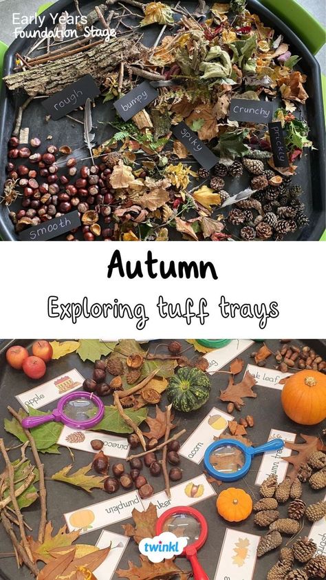 Explore the season of autumn with these lovely activity trays. Click on the pin for labels and more. Autumn Tuff Tray Ideas, Autumn Activities For Babies, Autumn Tuff Tray Ideas Eyfs, Tuff Tray Ideas Eyfs, Autumn Tuff Tray, Autumn Eyfs Activities, Autumn Eyfs, Tuff Tray Ideas, Fall Activities For Kids