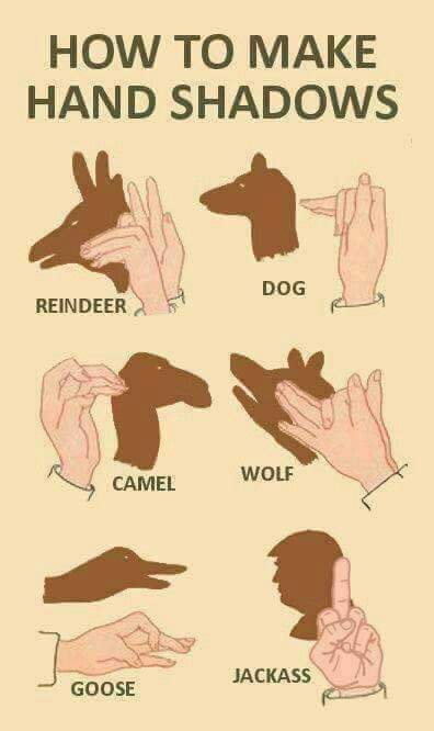 Shadow Puppets With Hands, Hand Shadows, Sign Language Alphabet, Shadow Pictures, Shadow Art, Shadow Puppets, Dark Ages, Random Pics, Hand Art