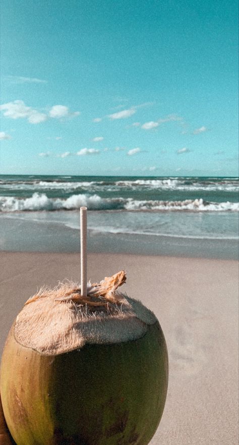 Coconut On Beach, Cuba Vacation Aesthetic, Cuba Picture Ideas, Cuba Beach Aesthetic, Cuba Aesthetic Beach, Coconut Beach Aesthetic, Cuba Aesthetic, Caribbean Aesthetic, Cuba Pictures