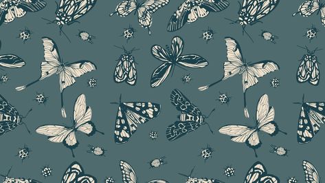 2023 Computer Wallpaper, Wallpaper Butterflies, Background Macbook, Vintage Desktop Wallpapers, Wallpapers Laptop, Macbook Pro Wallpaper, Computer Wallpaper Hd, Desktop Wallpaper Macbook, Wallpaper Notebook