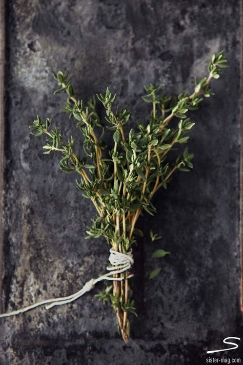 Thyme Sprig, Rustic Outdoor Furniture, Tattoo Plant, Vegetables Food, Food Mood, Rustic Romance, Rustic Mirrors, Rustic Nursery, Rustic Doors