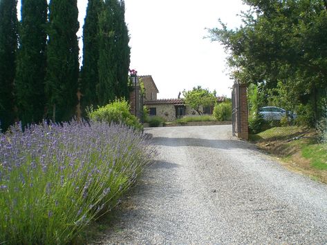 Shell Driveway, Concrete And Brick, Cobblestone Driveway, Mod House, Asphalt Driveway, Countryside Home, Driveway Ideas, Concrete Driveways, Oak Hill