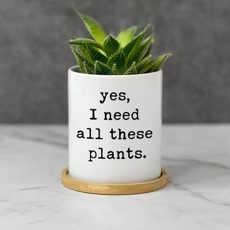 Witty, funny, and hilarious plant pot for plant lovers! This unique pot will be a great decorative addition to your home, garden, and workspace. It is a wonderful gardening gift for family and friends, birthday parties, and wedding anniversaries. Celebrate a special date or occasion and show them how much you care with plant pots! DETAILS ▸ Pot has a drain hole and comes with a bamboo saucer ▸ Graphic printed on your pot will never fade or peel ▸ Ideal for succulents, cacti, air plants, or starter plants ▸ Measurement: 4 inch Height (10cm), 3.75 inch Width (9.5cm) ▸ Plant is NOT included ADDITIONAL ▸ To add words or names on the opposite side of your pot, click here: https://www.etsy.com/listing/1352215005/additional-words-or-names-on-the-other ▸ Want to fully customize your pot, click her Funny Planter Sayings, Funny Plant Sayings, Plant Sayings, Plant Humor, Flower Pot Diy, Gardening Gift Ideas, Bucket Garden, Alphabet Mugs, Plant Pot Design