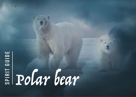 What does the polar-bear spirit animal really mean? Find out the true meaning and symbolism of the polar-bear in this special spirit animal analysis. Hawk Symbolism, Bear Spirit Animal, Bear Spirit, Spirit Animal Meaning, Animal Meanings, Spirit Guide, Spirit Guides, The Bear, Spirit Animal