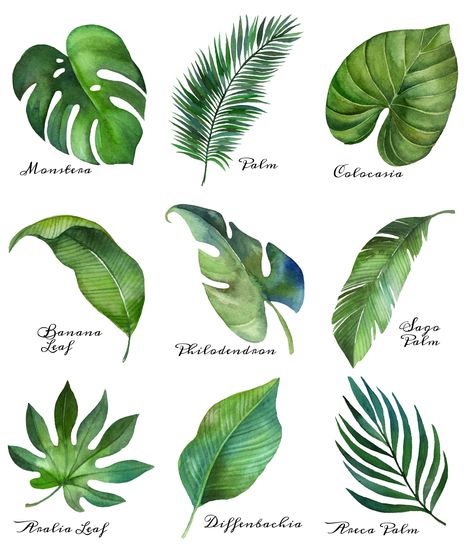 Tropical Leaf Free Printable Art -Series of 9 | The Happy Housie | Beautiful free summer printables with customizable options and easy to download for your summer home decor. #summerdecor #plants Boom Kunst, Watercolor Printable Art, Free Printable Art, Leaf Drawing, Cafe Logo, Watercolor Printable, Printable Art Prints, 수채화 그림, Tropical Leaf