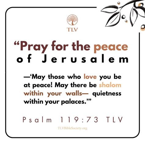 "Pray for the peace of Jerusalem— 'May those who love you be at peace! May there be shalom within your walls— quietness within your palaces.'" Psalm 122:6-7 TLV #verseoftheday #votd #scripture #bibleverse #dailybibleverse #tlvbible #tlv #bibleverseoftheday #WordofGod #shalom #jerusalem #pray #prayforpeace #prayforisrael #peace #psalmwednesday #psalm Psalm 122:6-7, Psalm 122, Psalm 91 4, Be At Peace, Pray For Peace, Book Of Psalms, Inspirational Verses, Healing Scriptures, Psalm 119