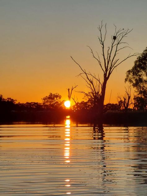 Murray River, Renmark, South Australia. Photo by Mandy Chandler. Murray River, Landscape Projects, South Australia, Nature Scenes, Holiday Travel, Soft Light, Nature Pictures, Soft Lighting, Beautiful Nature