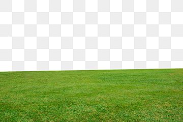 Green Grass Hd Transparent, Green Grass, Grass, Natural, Lawn PNG Image For  Free Download | Green grass background, Grass background, Grass flower