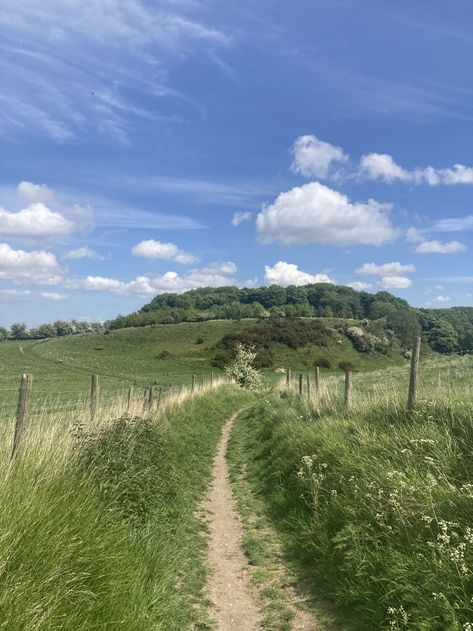 Lincolnshire England, English Countryside, Places To Go, Country Roads, Favorite Places, England, Road, Wood, Animals