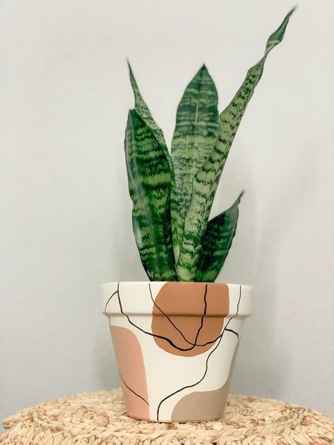 Terracotta Paint, Plant Pot Design, نباتات منزلية, Plant Pot Diy, Painted Pots Diy, Painted Plant Pots, Painted Flower Pots, Diy Pots, Pot Designs