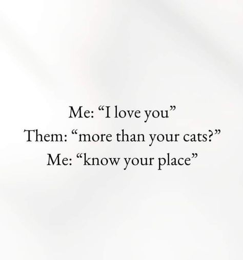 Crazy Cat Lady Quotes, Cat Person Quotes, Dorian Aesthetic, Funny Cat Captions, Cat Captions, Insta Captions, Cat Crafts, Cat Quotes, Cat Person