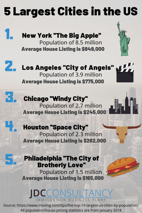 There are several important factors to consider when it comes to moving to the #UnitedStates and beginning your new journey. We have created a Facts about America page full of interesting and fun facts and stats and a useful #infographic on this incredible Country - it provides insight to those that are curious about making their first steps towards the #AmericanDream. Facts About America, Usa Facts, Usa Party, French Worksheets, Country Facts, Esl Lesson Plans, School Info, Los Angeles City, Facts For Kids