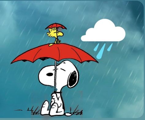 Prayers Of Protection, Rainy Thursday, Good Thursday Morning, Happy Thursday Morning, Tweety Bird Quotes, Good Morning Nature Images, God Is Our Refuge, Good Morning Snoopy, Good Thursday