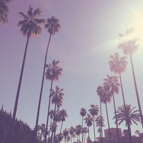 2014 Tumblr Aesthetic Wallpaper, Tumblr Girly Aesthetic 2013, Summer Tumblr, 2010s Aesthetic, 2010s Nostalgia, Nostalgia Aesthetic, Pink Tumblr Aesthetic, Girls Tumbler, California Dreaming