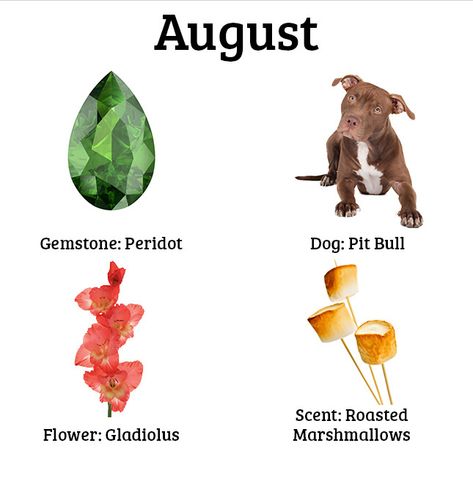 August Birthday Quotes, Birth Month Symbols, Birth Month Quotes, Birth Symbols, Month Animals, August Baby, August Birthday, Bear Tattoo, Days And Months