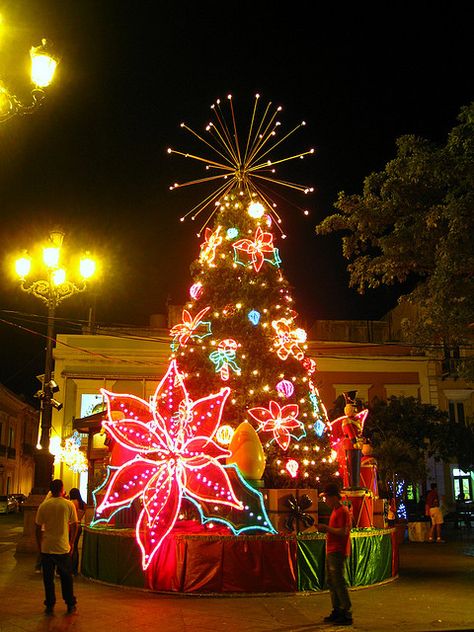 San Juan Puerto Rico - Christmas in the tropics love the poinsetta  could it be made out of rope lights? Small Home Decor Ideas, Christmas In Puerto Rico, Caribbean Christmas, Budget Home Decor, Small Home Decor, Tropical Christmas, Budget Home Decorating, Decorating Ideas On A Budget, San Juan Puerto Rico