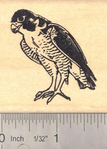 Falcon Rubber Stamp. Raptor Bird of Prey Bird Of Prey Tattoo, Raptor Bird, Raptor Bird Of Prey, Jamel Shabazz, Medieval Tattoo, Bird Of Prey, Minimalist Tattoos, Tattoo Art Drawings, Tattoo Flash Art