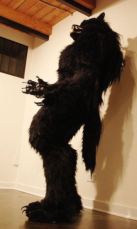 DIY Realistic werewolf full suit - courtesy of missmonster on instructables.com Boys Wolf Costume, Realistic Werewolf, Diy Bigfoot, Werewolf Cosplay, Wolf Makeup, Werewolf Mask, Werewolf Costume, Wolf Costume, Full Body Costumes