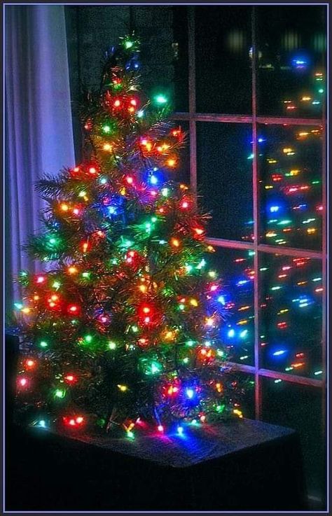 Christmas Tree Ideas Natural, Christmas Decor Yard Decorations, Outside Christmas Decor Yard Decorations, Diy Christmas Outdoor Decorations, Brown Christmas Tree Decorations, Woodsy Christmas Decor, Rainbow Christmas Lights, Diy Christmas Outdoor, Diy Christmas Decorations For Outside