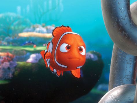 The Drop Off Disney Schedule, Finding Nemo 2003, Disney Finding Nemo, Disney Pixar Characters, Animation Disney, Pixar Films, Pixar Characters, Disney Dogs, Film Disney