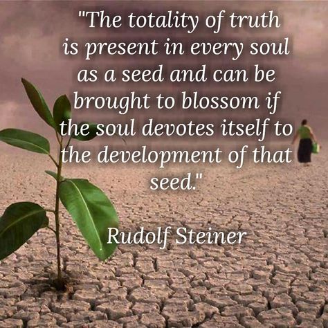 Rudolf Steiner quotes... Rudolph Steiner Quotes, Rudolf Steiner Quotes, Steiner Quotes, Waldorf Verses, Frequency Quote, Rudolph Steiner, Quantum Consciousness, Waldorf Teaching, Childrens Poems