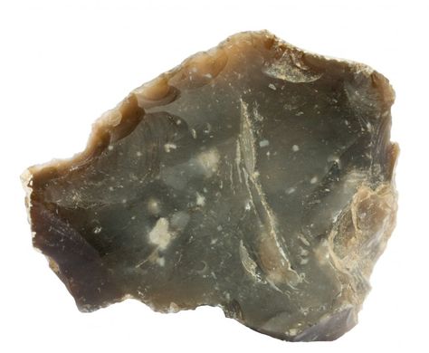 Chert, also known as flint, is a silica-rich sedimentary rock. Chert is very hard and its conchoidal fractures can leave sharp edges which do not dull easi Chert Stone, Flint Rock, Native American Tools, Rock Identification, Rock Tumbling, Rock Hunting, Rocks And Fossils, Geology Rocks, Sedimentary Rocks