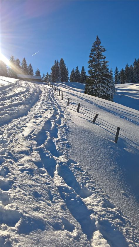 Brunni Alpthal Mythenregion Switzerland snow path snowshoewalk Snow In Switzerland, Snow Switzerland, Switzerland Snow, Snow Days, Dream Trip, Winter Vibes, Snow Mountain, Winter Scenery, All The Feels