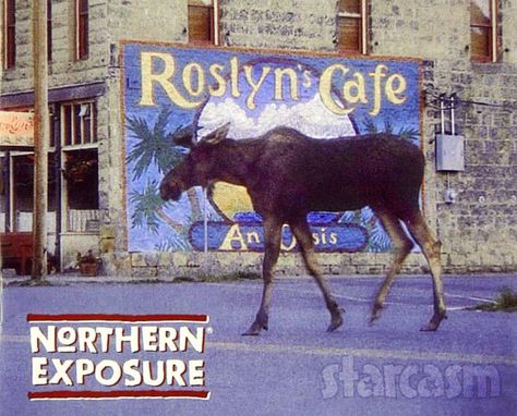 One of the most critically acclaimed and beloved shows in the history of network television is coming back! CBS is reportedly moving ahead with a Northern Exposure revival with original show star James Morrow as well as series co-creators Josh Brand and John Falsey. Northern Exposure Tv Show, Psych Movie, John Corbett, Northern Exposure, Alaska Fashion, Ugly Betty, Me U, Summer Scrapbook, Going On Holiday