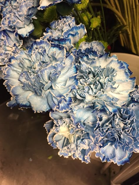 Flowers Aesthetic Blue, Blue Flowers Aesthetic, Aesthetic Blue Flowers, Flower Garden Design Ideas, Garden Ideas Flower, Flower Gardening Ideas, Blue Flower Bouquet, Flower Garden Ideas, Blue Flowers Bouquet