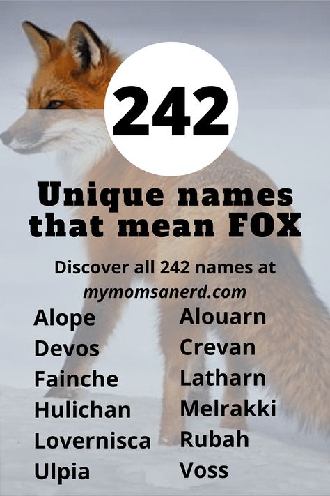 Fox Name Ideas, Kitsune Names, Fox Names, Stuffed Animal Names, Story References, Fox Aesthetic, Boy Name Meanings, Writing Reference, List Of Names