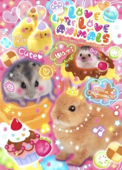 Kawaii Core, Mia 3, Cute Poster, Kawaii Wallpaper, Hamsters, Wallpaper Iphone Cute, 귀여운 동물, Cute Icons, Wall Collage