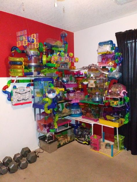 Hamster City 2018 Kandang Hamster, Cool Hamster Cages, Hamster Tube, Mouse Cage, Cage Hamster, Hamster Diy, Hamster Life, Hamster Habitat, Hamster Care