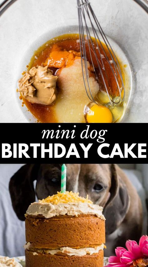 Mini Dog Cake Recipe, Mini Dog Birthday Cake, Mini Dog Cake, Peanut Butter Dog Cake, Spoiled Dog Cake, Dog Bday Cake, Easy Dog Cake, Dog Birthday Cake Easy, Birthday Dog Cake