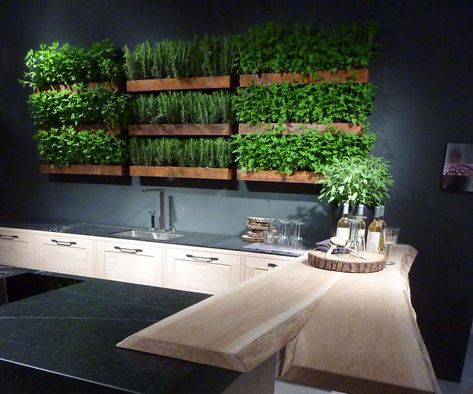 Herb Garden Kitchen Wall Kitchen Garden Plants, Herb Garden Wall, Artificial Grass Wall, Green Kitchen Decor, Herb Wall, Herb Garden In Kitchen, Green Interior Design, Kitchen Herbs, Walled Garden