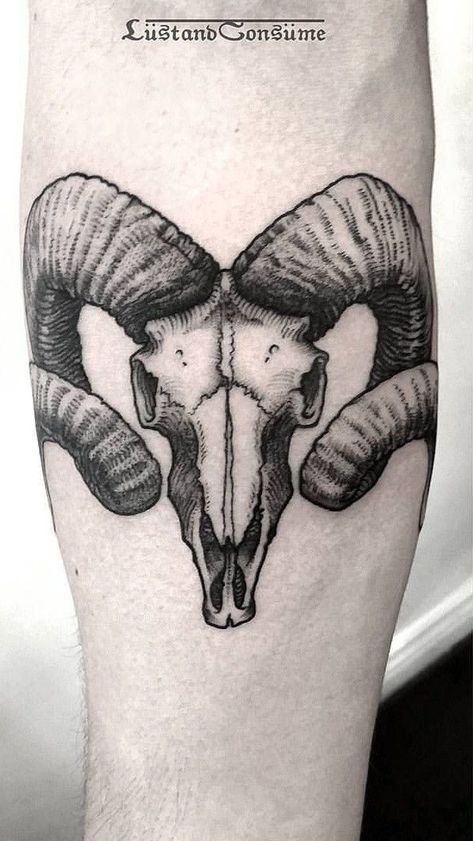 Aries Ram Tattoo, Bull Skull Tattoos, Ram Tattoo, Bull Tattoos, Forarm Tattoos, Aries Tattoo, Half Sleeve Tattoos For Guys, Hand Poked Tattoo, Spooky Tattoos