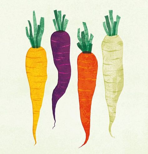 Rebecca Hollingsworth | Becca Kate Prints on Instagram: "Happy New Year! Kicking off the year with @theydrawandcook #21daysofgoodhealth drawing challenge! I won’t be able to draw them all but hopefully I can manage a few! . Day 1 - Carrots 🥕 . . . . . #food #drawing #cooking #foodillustration #illustration #designer #illustrator #carrots #carrot #foodillustrator #print #illustrationartist #kitchen #newyear #printandpattern #cooking #cookbookillustration #foodillustrations #veg #vegetables Guacamole Illustration, Carrot Drawing, Baby Pineapple, Vegetable Drawing, Food Prints, Visuell Identitet, Appliqué Ideas, Vegetable Illustration, Pop Up Restaurant