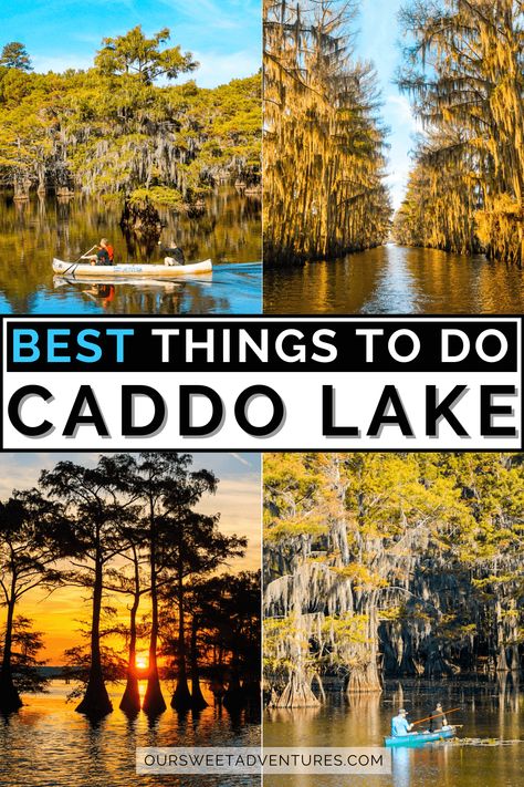 Best Lakes To Vacation In Us, Caddo Lake, Lake Cumberland Kentucky Things To Do, Caddo Lake Texas, Caddo Lake State Park, Kayaking Trips U.s. States, Lake Activities, Texas Adventure, Beautiful Travel Destinations