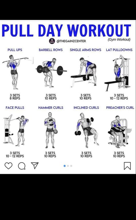 Pull Dat Workout, Lats And Biceps Workout, Pull Workout For Men, Pull Exercises For Women, Workout Knowledge, Pull Workouts, Back Workout Program, Push Pull Legs Workout, Machine Exercises