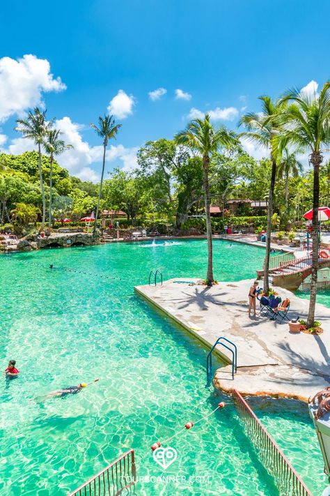 Discover the allure of Miami's best tourist attractions, with a special spotlight on the mesmerizing Venetian Pool! 🚗🌴 Curious about the wonders of Miami and the oasis that is Venetian Pool? Click the link to our blog and start planning your Miami adventure, complete with a refreshing visit to the enchanting Venetian Pool! 👉🔗 #MiamiMarvels #BestAttractionsMiami #MiamiOasis #VenetianPool Florida State Parks, The Oasis, Anna Maria Island, Tourist Attraction, Day Trips, United States Of America, State Parks, Outdoor Activities, Oasis