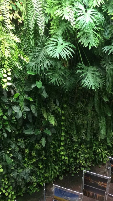 Green Wall Plants, Vertikal Garden, Vertical Garden Plants, Wall Green, Vertical Garden Design, Tropical Garden Design, Vertical Vegetable Garden, Backyard Shade, Jungle Gardens