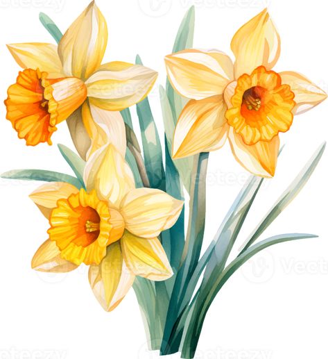 Daffodil Clipart, Daffodils Flowers, Whimsical Art Paintings, Narcissus Flower, Flower Art Drawing, Daffodil Flower, Pansies Flowers, Flowers Watercolor, China Painting