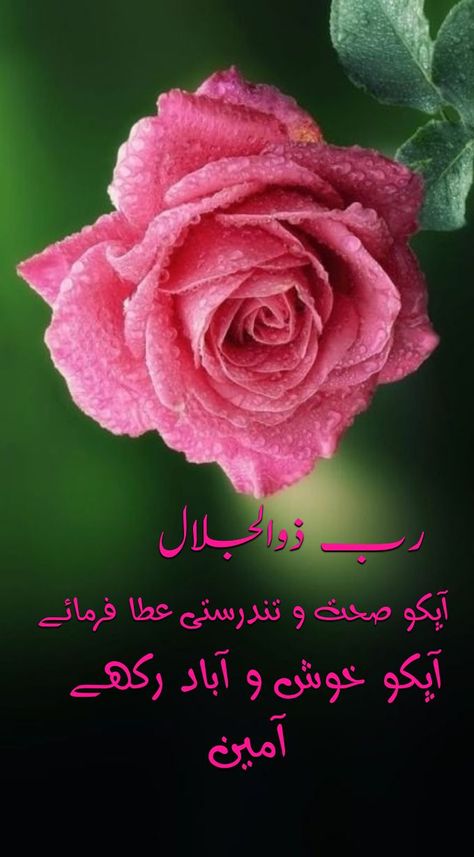 Good Morning Quotes With Flowers, Good Morning Dua, Quotes With Flowers, Suba Bakhair, Salam Image, Urdu Good Morning, Subha Bakhair, Morning Dua, Poetry Ghalib