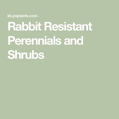 Rabbit Resistant Perennials and Shrubs Rabbit Resistant Perennials, Rabbit Resistant Plants, Shade Loving Shrubs, Mesh Fencing, Perennial Shrubs, Perennials, Chemicals, Mesh, Plants