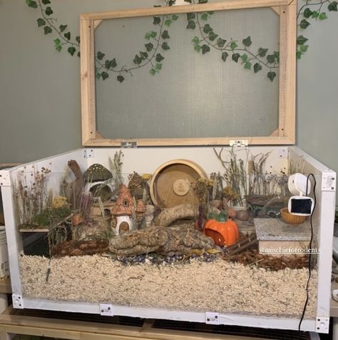 Mouse Cage Setup, Natural Hamster Cage Ideas, Hamster Scaping, Big Hamster Cages, Hamster Cage Ideas, Hamster Tank, Bin Cage, Hamster Bin Cage, Hamster Enclosure