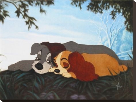 The Lady And The Tramp, Disney Mignon, Disney Fine Art, Images Disney, Wallpaper Disney, Septième Art, Disney Dogs, Disney Animals, Disney Favorites