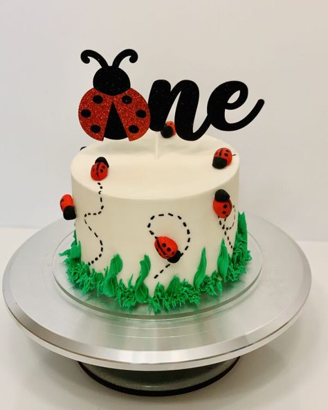 Ladybug Smash Cake, Smash Cake Ideas, Bug Birthday Cakes, Ladybug Cakes, Bug Cake, Ladybug Cake, Ladybug Birthday Party, Cake Liner, Ladybug Theme