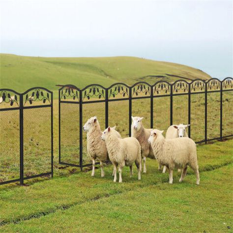 ad eBay - Find many great new & used options and get the best deals for 5x Metal Black Garden Fence 43'' Tall Animal Barrier Board Flower Bed Protector at the best online prices at eBay! Free shipping for many products! Black Garden Fence, Fencing And Gates, Bed Protector, Fencing & Gates, Black Garden, Garden Fencing, Flower Bed, Garden Fence, Fencing