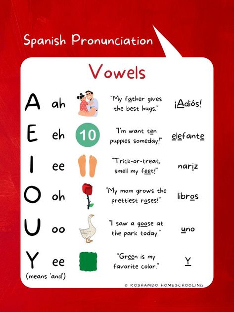 Cute set of printable posters to hang in your Spanish classroom to help students remember how to pronounce the trickiest letters and letter combinations! Includes a corresponding English word with the same sound to reinforce students' memory. For us in bilingual classrooms or for homeschooling. #tpt #homeschool #spanishteacher #bilingualeducation Medical Vocabulary, Spanish Letters, Spanish Anchor Charts, Homeschooling Elementary, Spanish Notes, Spanish Words For Beginners, Basic Spanish, Spanish Pronunciation, Vocabulary English